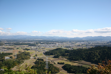 （市長おまかせ）